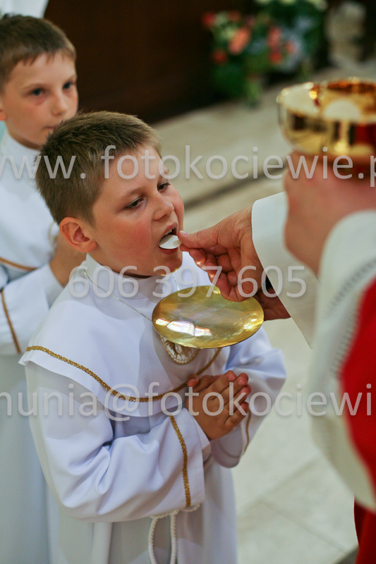 <b>NUMER FOTOGRAFII:<br> 0588_SFK_9367</b>