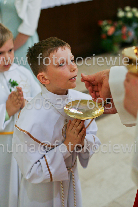 <b>NUMER FOTOGRAFII:<br> 0590_SFK_9369</b>