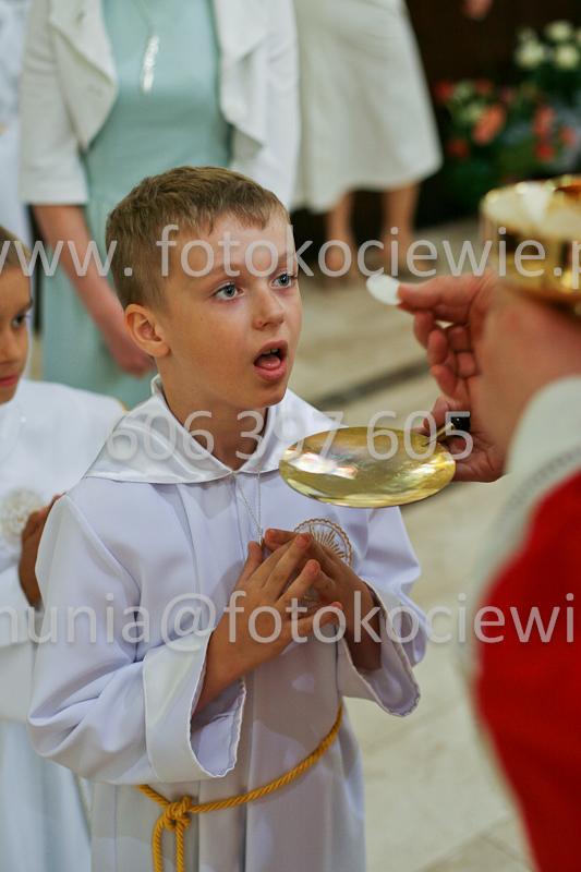 <b>NUMER FOTOGRAFII:<br> 0594_SFK_9373</b>