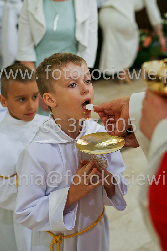 <b>NUMER FOTOGRAFII:<br> 0595_SFK_9374</b>
