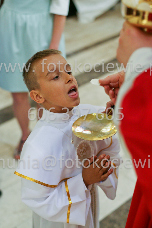 <b>NUMER FOTOGRAFII:<br> 0596_SFK_9375</b>