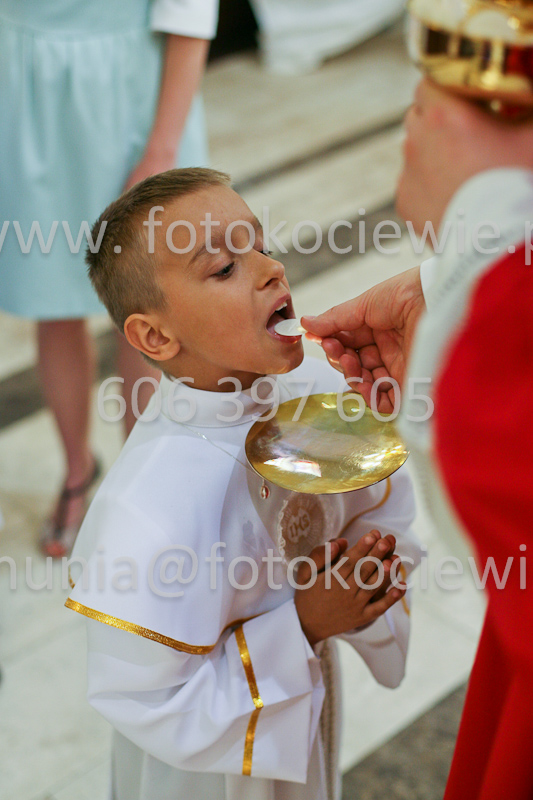 <b>NUMER FOTOGRAFII:<br> 0597_SFK_9376</b>