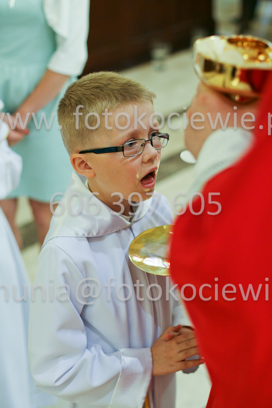 <b>NUMER FOTOGRAFII:<br> 0598_SFK_9377</b>
