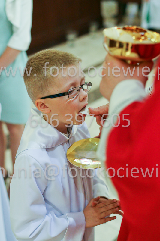 <b>NUMER FOTOGRAFII:<br> 0599_SFK_9378</b>