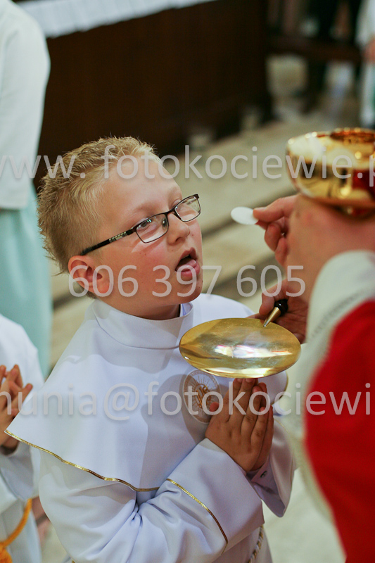 <b>NUMER FOTOGRAFII:<br> 0600_SFK_9379</b>