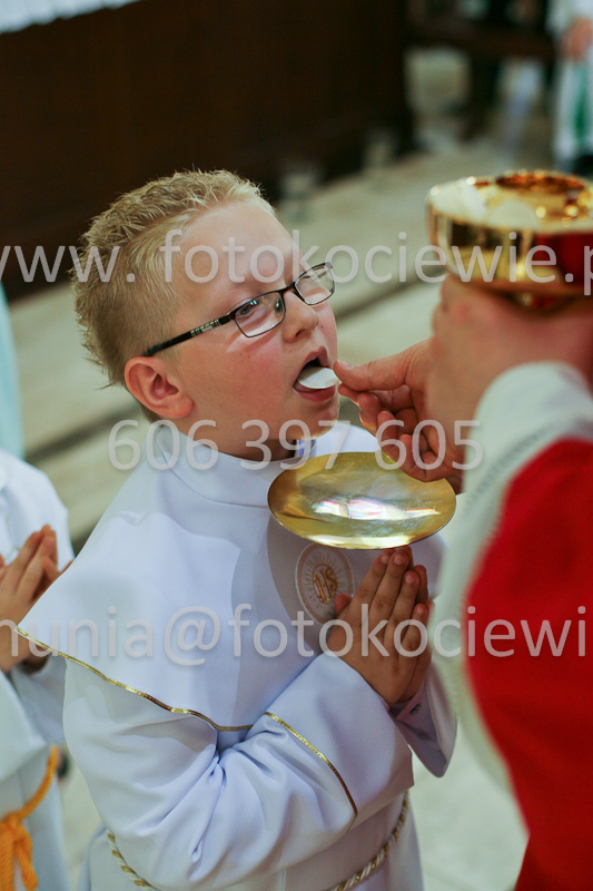 <b>NUMER FOTOGRAFII:<br> 0601_SFK_9380</b>