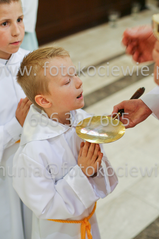 <b>NUMER FOTOGRAFII:<br> 0603_SFK_9382</b>