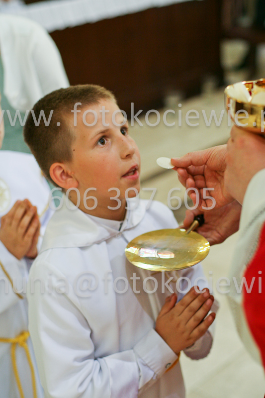 <b>NUMER FOTOGRAFII:<br> 0604_SFK_9384</b>