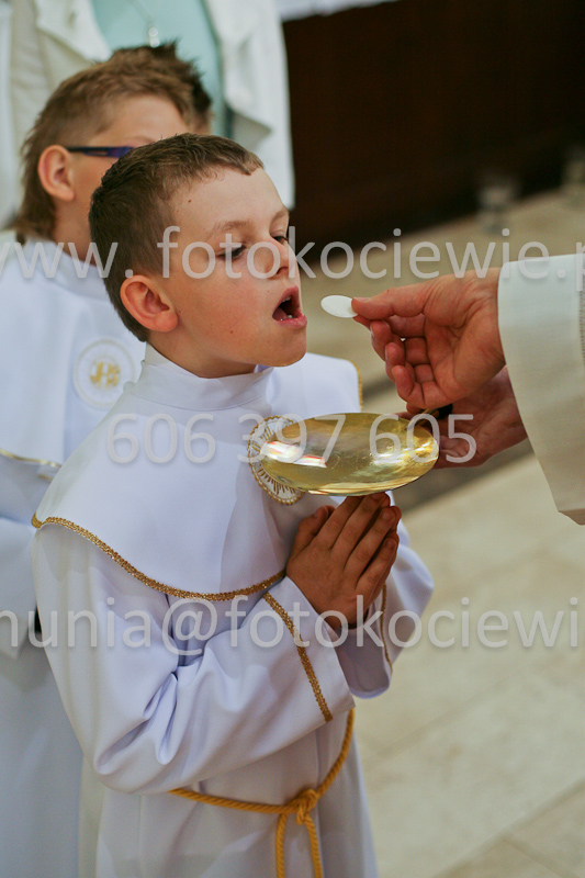 <b>NUMER FOTOGRAFII:<br> 0606_SFK_9386</b>