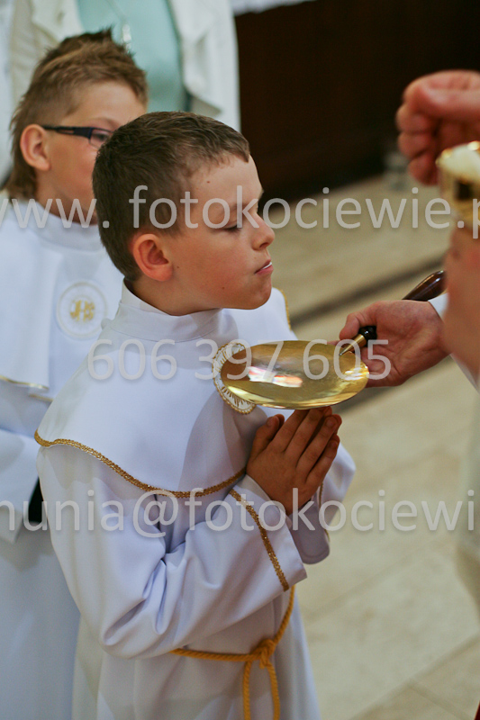 <b>NUMER FOTOGRAFII:<br> 0607_SFK_9387</b>