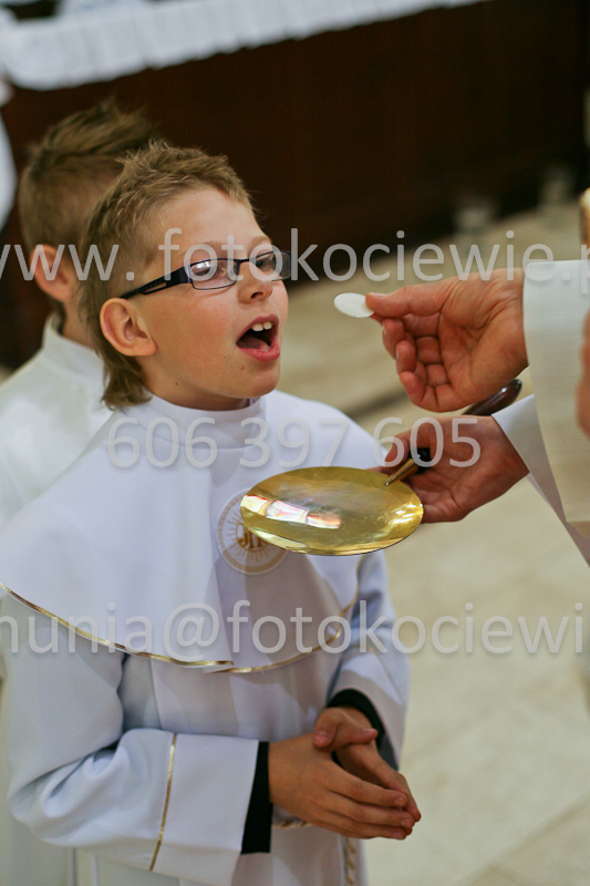 <b>NUMER FOTOGRAFII:<br> 0609_SFK_9388</b>