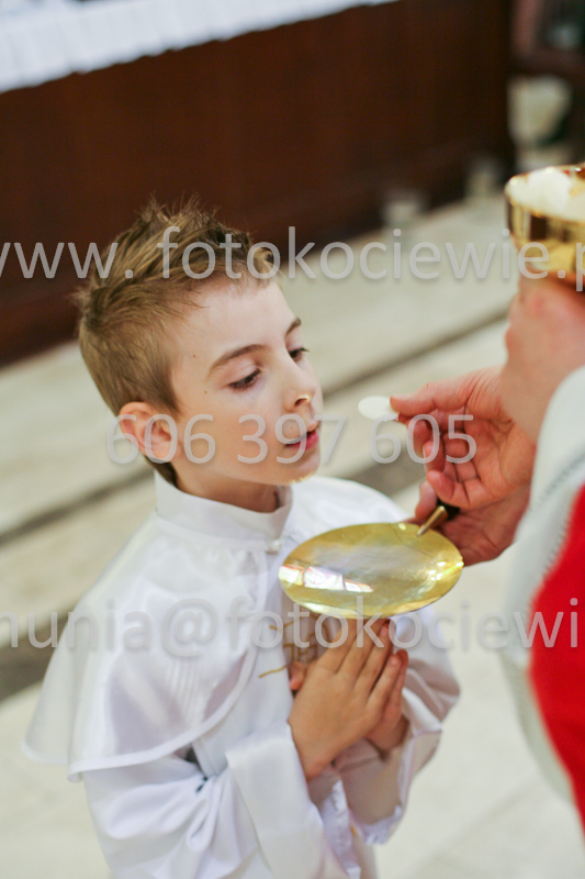 <b>NUMER FOTOGRAFII:<br> 0611_SFK_9390</b>