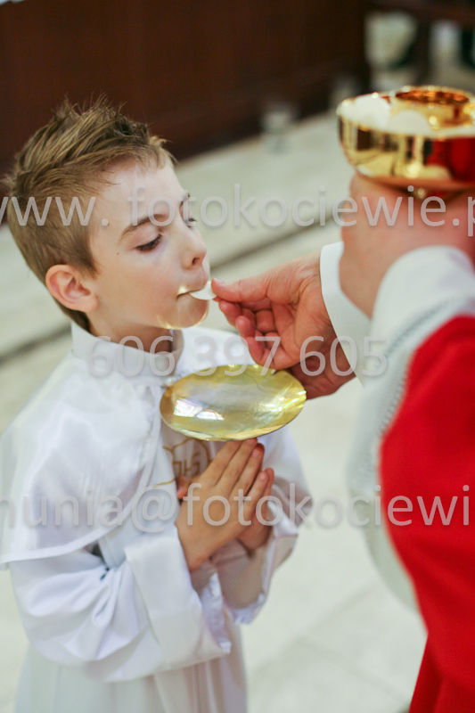 <b>NUMER FOTOGRAFII:<br> 0613_SFK_9392</b>