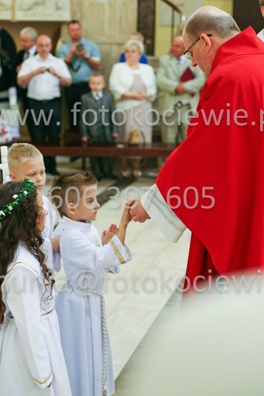 <b>NUMER FOTOGRAFII:<br> 0662_SFK_9405</b>