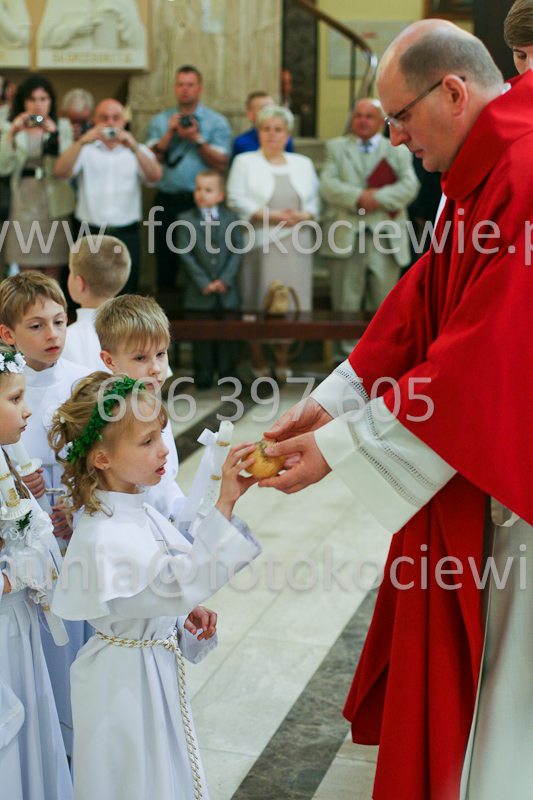 <b>NUMER FOTOGRAFII:<br> 0667_SFK_9410</b>
