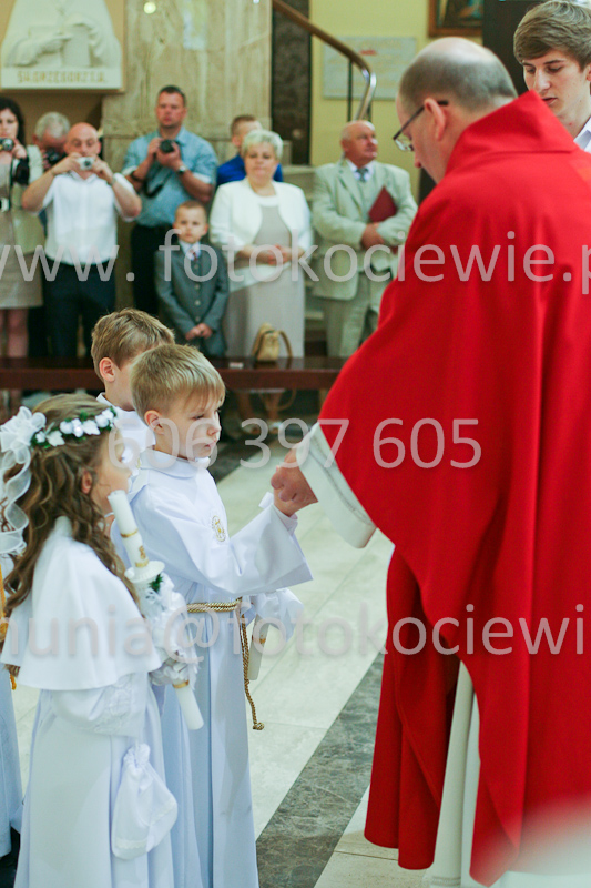 <b>NUMER FOTOGRAFII:<br> 0668_SFK_9411</b>