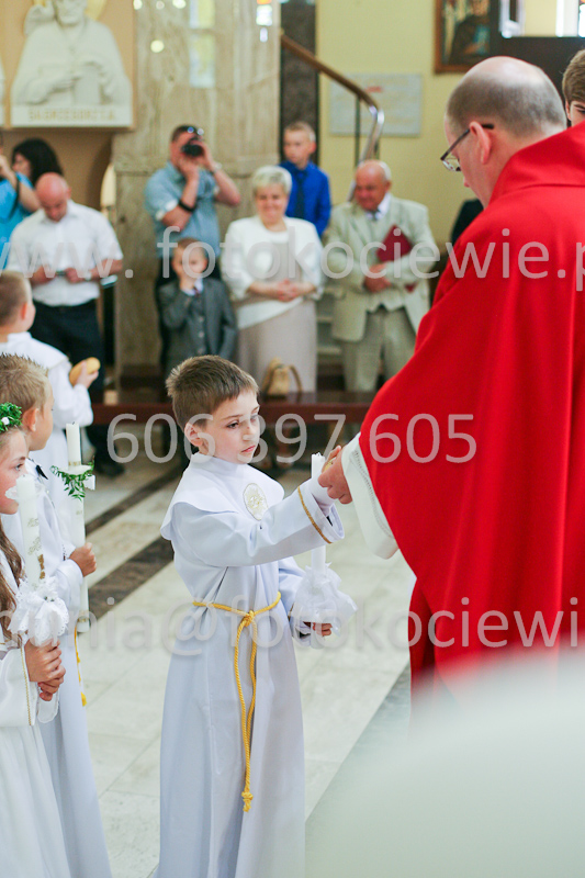 <b>NUMER FOTOGRAFII:<br> 0678_SFK_9421</b>