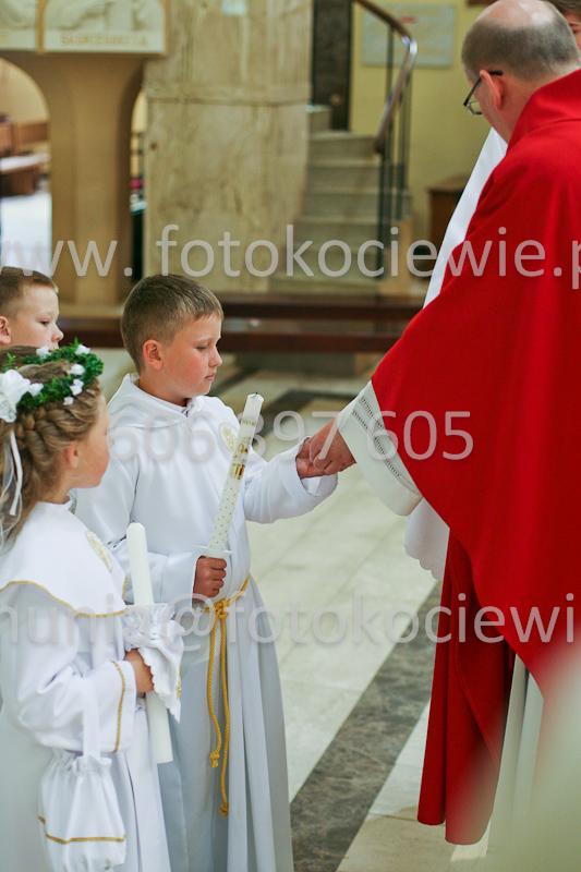 <b>NUMER FOTOGRAFII:<br> 0701_SFK_9446</b>