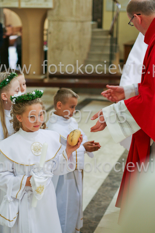 <b>NUMER FOTOGRAFII:<br> 0703_SFK_9448</b>