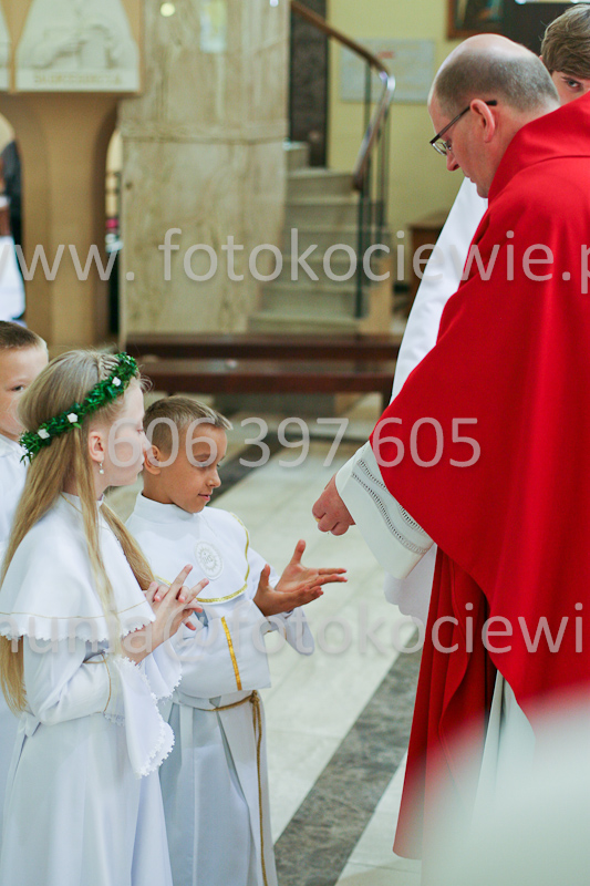 <b>NUMER FOTOGRAFII:<br> 0704_SFK_9449</b>