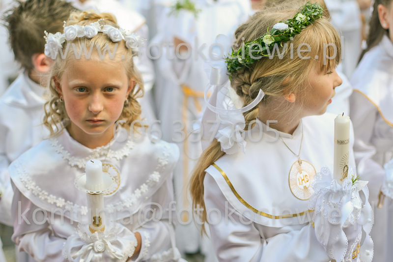 <b>NUMER FOTOGRAFII:<br> 0719_SFK_9464</b>