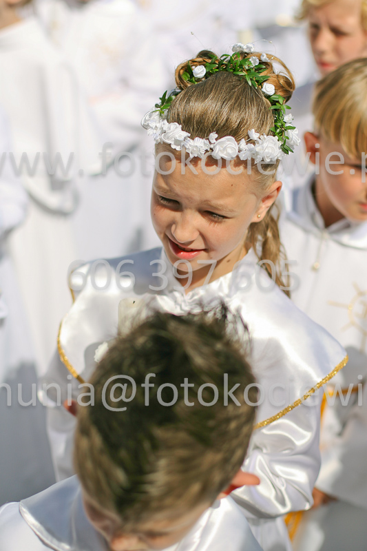 <b>NUMER FOTOGRAFII:<br> 0769_SFK_9496</b>