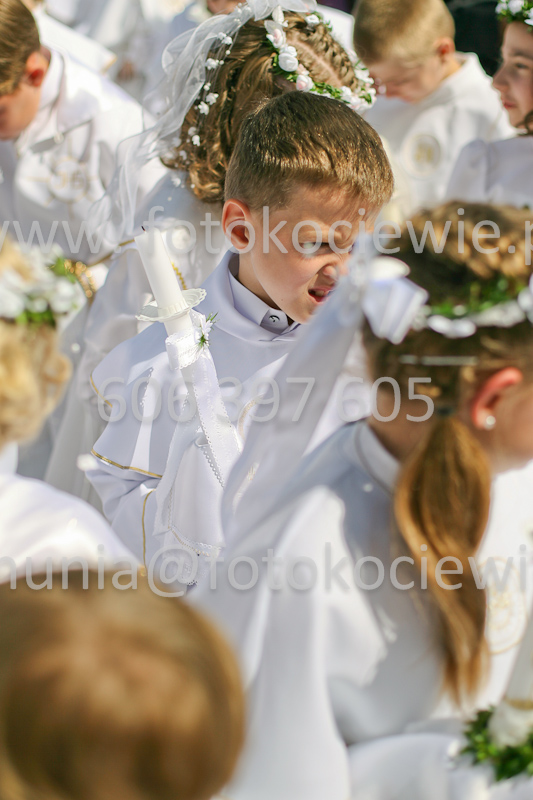 <b>NUMER FOTOGRAFII:<br> 0781_SFK_9505</b>