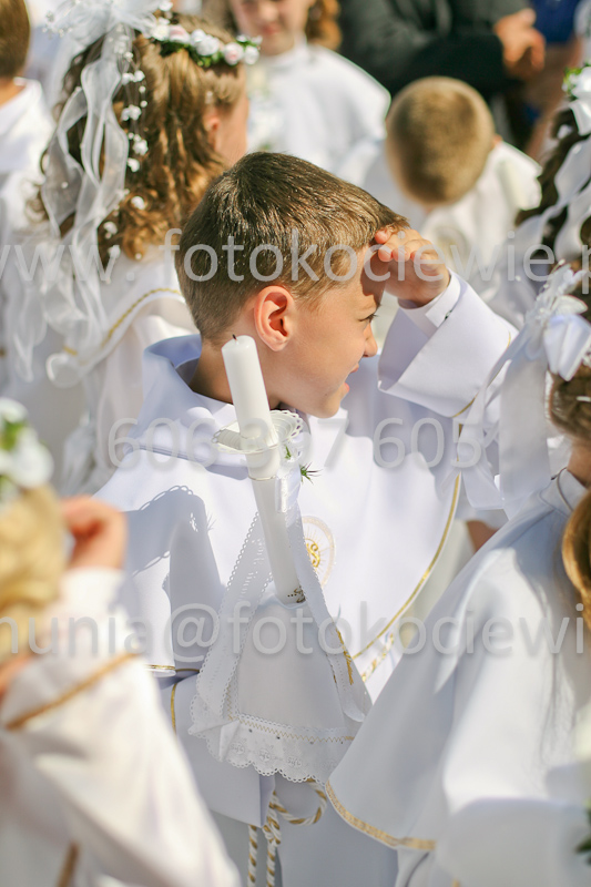 <b>NUMER FOTOGRAFII:<br> 0782_SFK_9507</b>