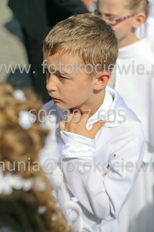 <b>NUMER FOTOGRAFII:<br> 0784_SFK_9508</b>