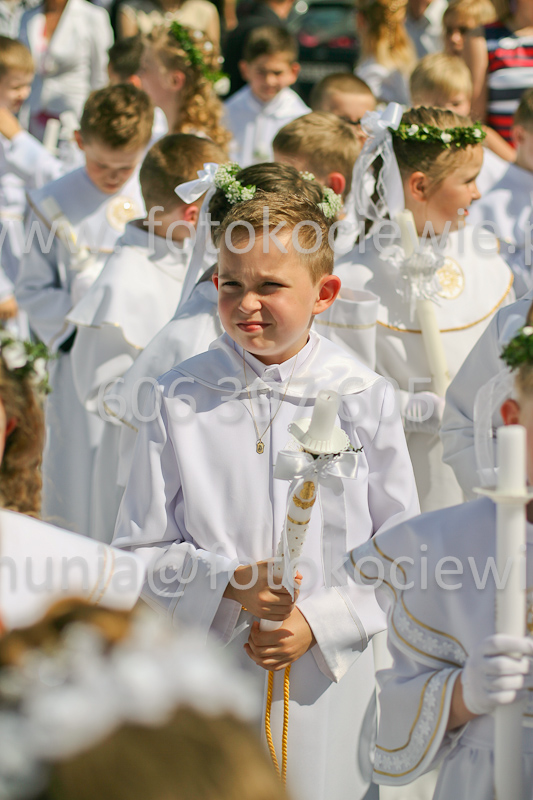<b>NUMER FOTOGRAFII:<br> 0795_SFK_9515</b>
