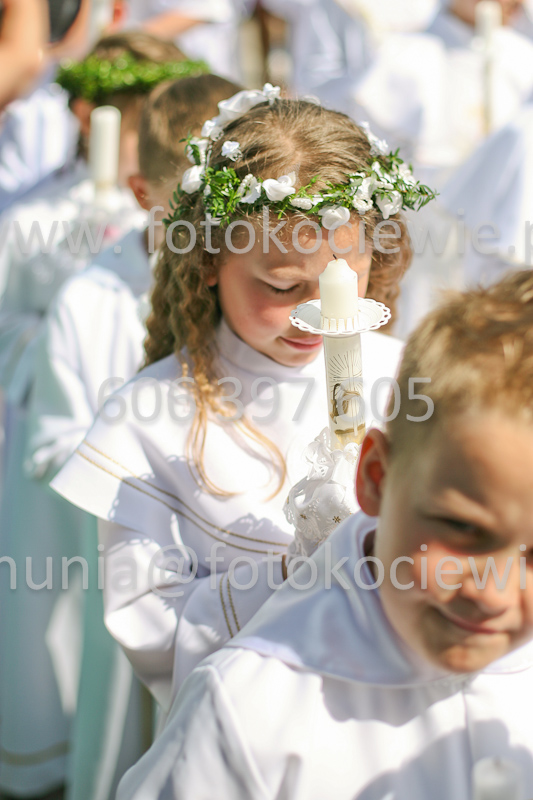 <b>NUMER FOTOGRAFII:<br> 0799_SFK_9518</b>