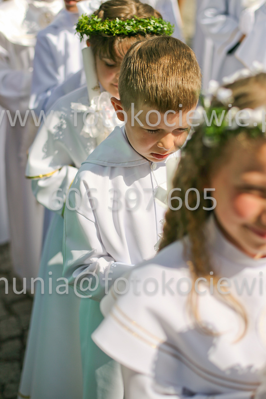 <b>NUMER FOTOGRAFII:<br> 0803_SFK_9520</b>