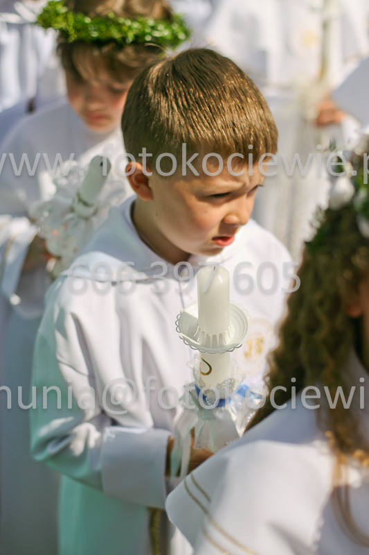 <b>NUMER FOTOGRAFII:<br> 0808_SFK_9524</b>