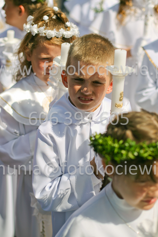 <b>NUMER FOTOGRAFII:<br> 0817_SFK_9531</b>