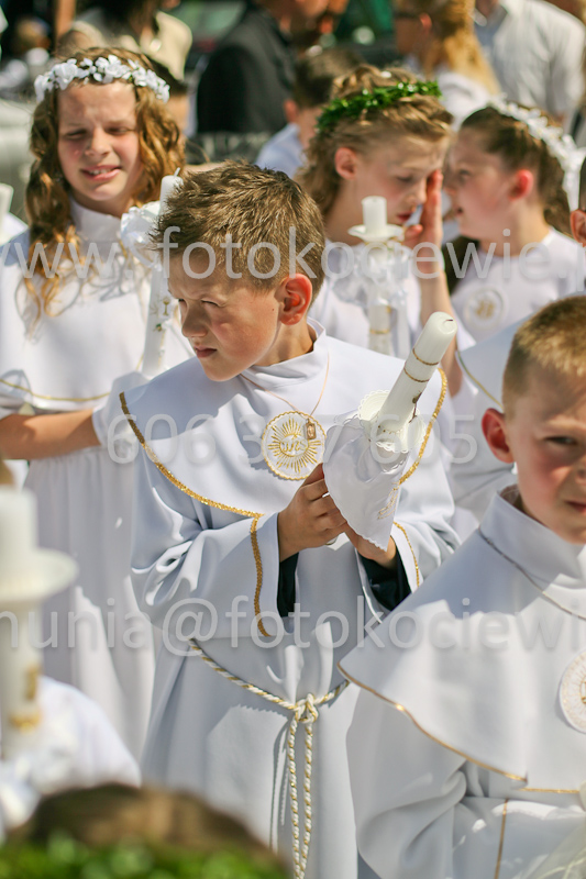 <b>NUMER FOTOGRAFII:<br> 0819_SFK_9533</b>