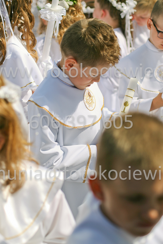 <b>NUMER FOTOGRAFII:<br> 0831_SFK_9546</b>