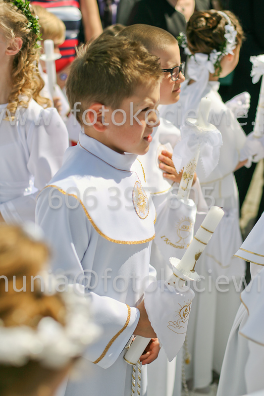 <b>NUMER FOTOGRAFII:<br> 0846_SFK_9564</b>