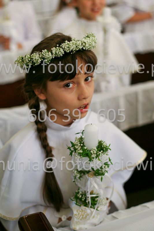 <b>NUMER FOTOGRAFII:<br> 0881_SFK_9590</b>