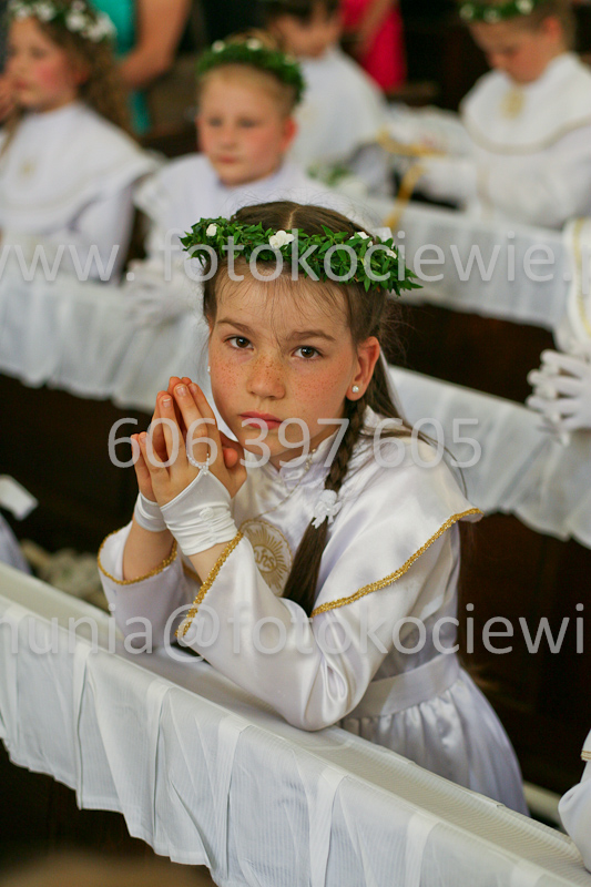 <b>NUMER FOTOGRAFII:<br> 0909_SFK_9617</b>