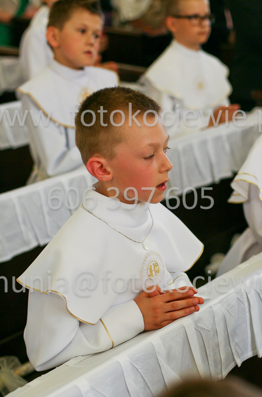 <b>NUMER FOTOGRAFII:<br> 0940_SFK_9649</b>