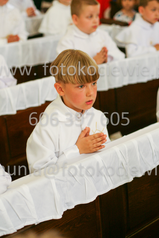 <b>NUMER FOTOGRAFII:<br> 0952_SFK_9660</b>