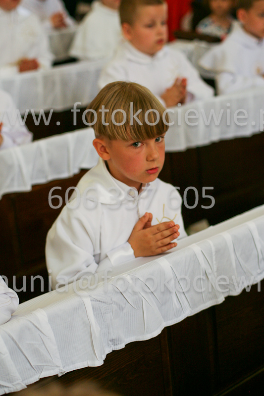 <b>NUMER FOTOGRAFII:<br> 0953_SFK_9661</b>