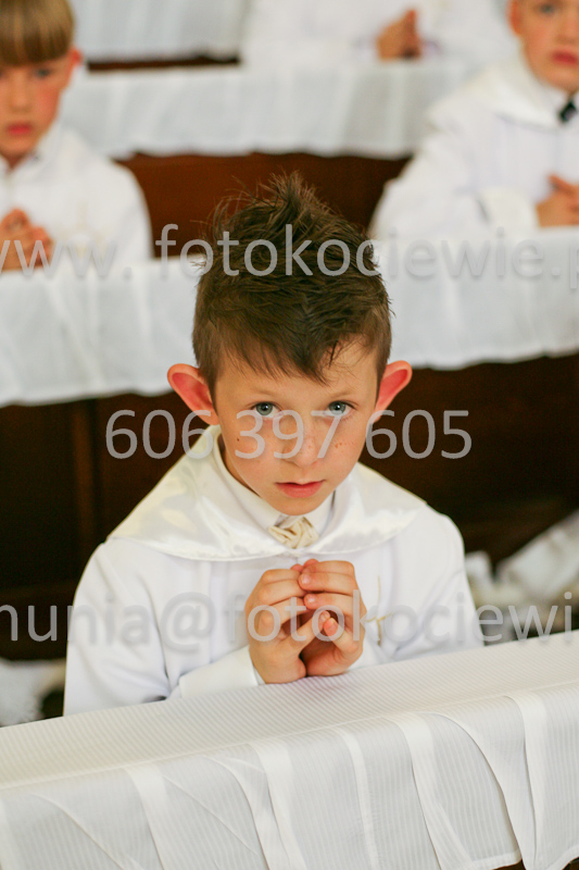 <b>NUMER FOTOGRAFII:<br> 0956_SFK_9665</b>