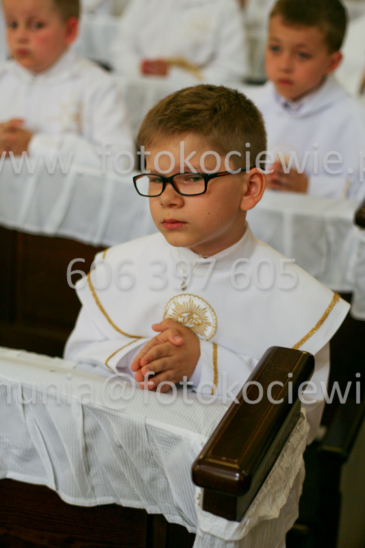 <b>NUMER FOTOGRAFII:<br> 0964_SFK_9672</b>
