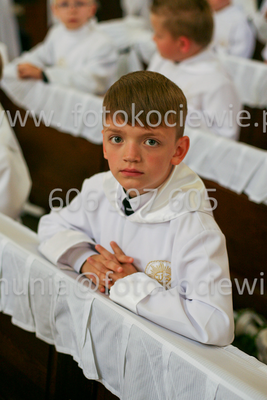 <b>NUMER FOTOGRAFII:<br> 0966_SFK_9674</b>