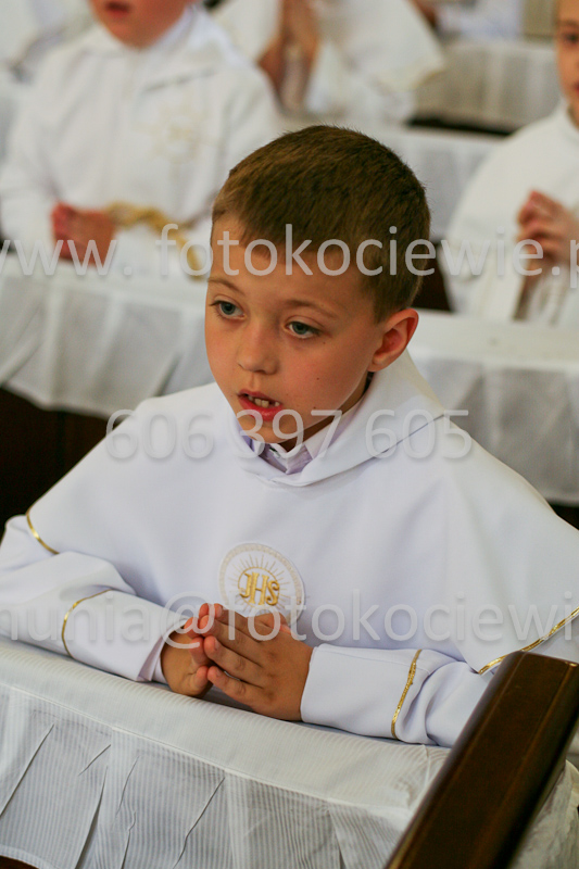 <b>NUMER FOTOGRAFII:<br> 0967_SFK_9675</b>