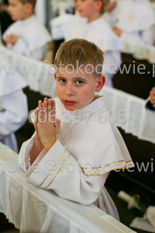 <b>NUMER FOTOGRAFII:<br> 0977_SFK_9686</b>