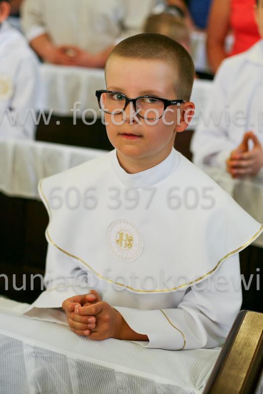 <b>NUMER FOTOGRAFII:<br> 0978_SFK_9687</b>