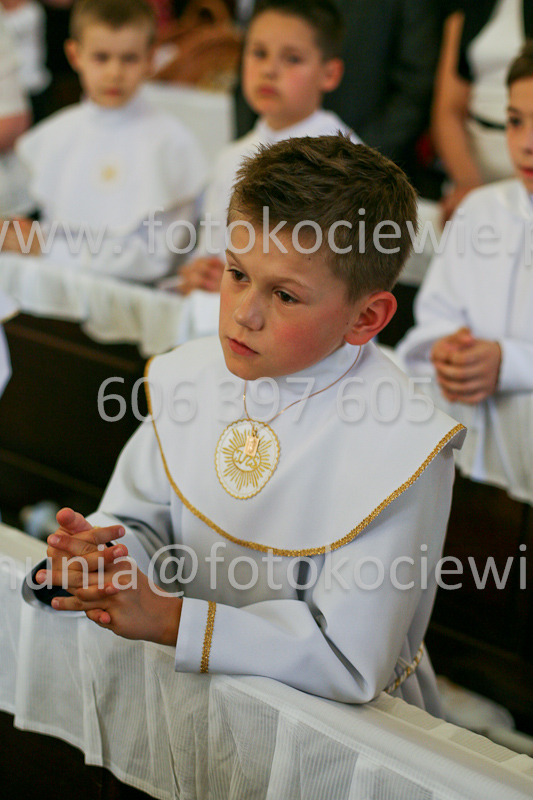 <b>NUMER FOTOGRAFII:<br> 0980_SFK_9689</b>