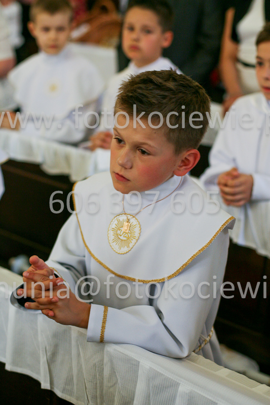 <b>NUMER FOTOGRAFII:<br> 0981_SFK_9690</b>